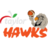 泰莱之鹰